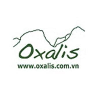 Logo 8